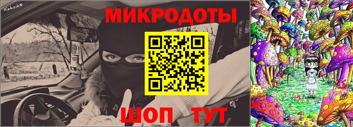 Псилоцибиновые грибы Cubensis Камышлов
