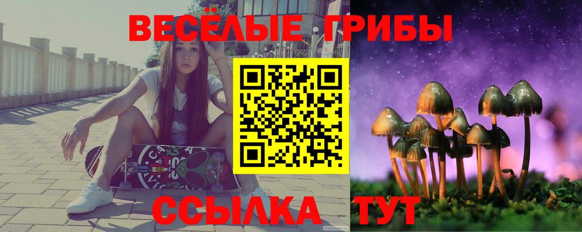 Камышлов  Псилоцибиновые грибы ЛСД  Вход с VPN 